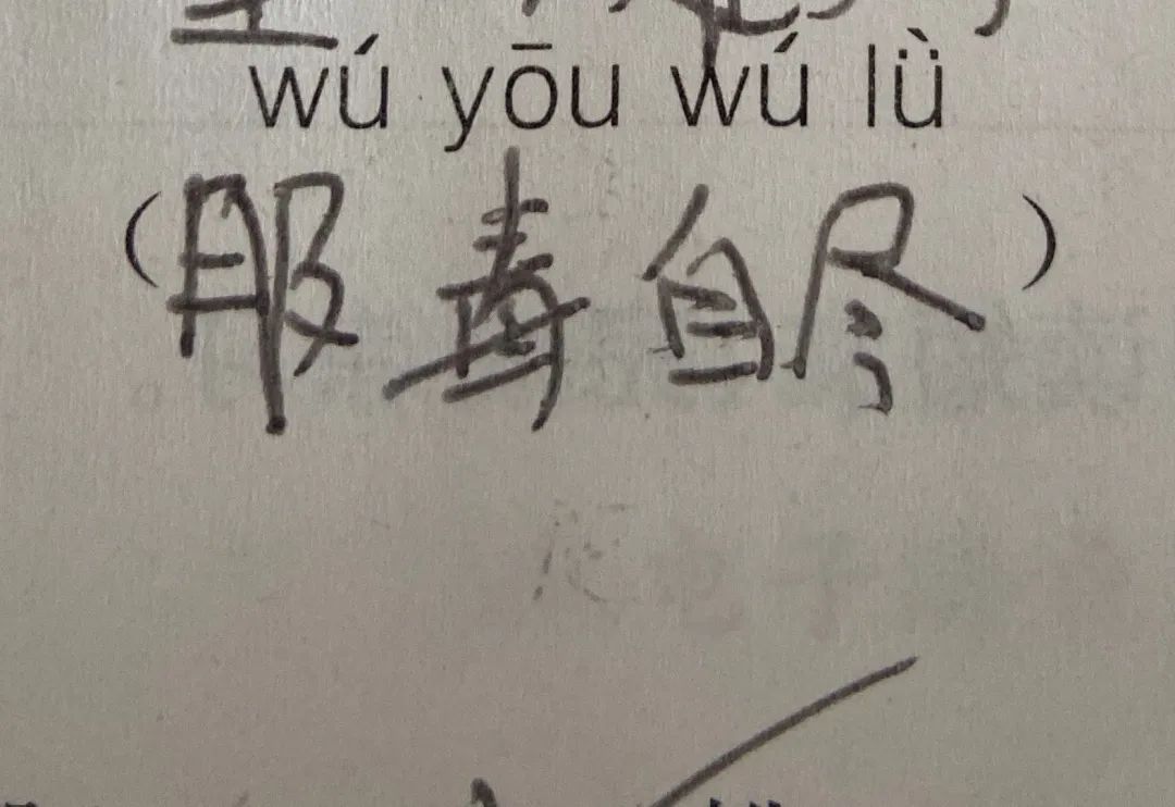 Word文档图片