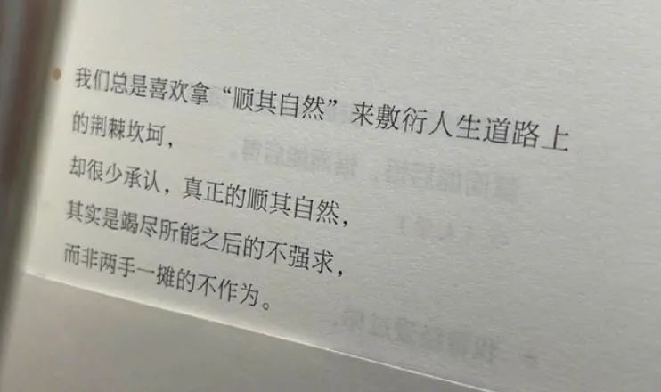 Word文档图片