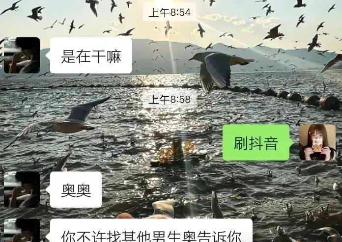 Word文档图片