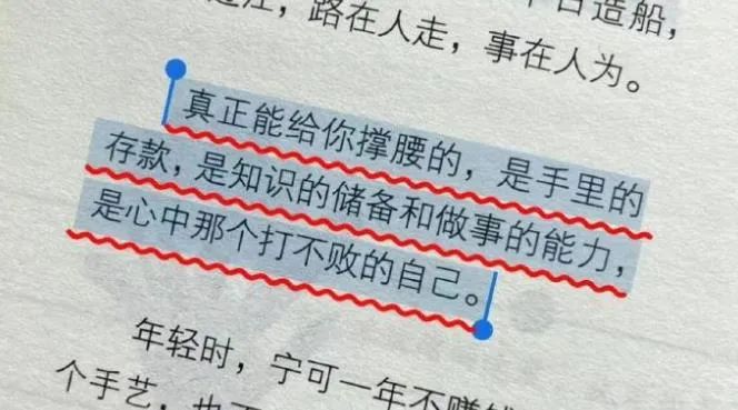 Word文档图片