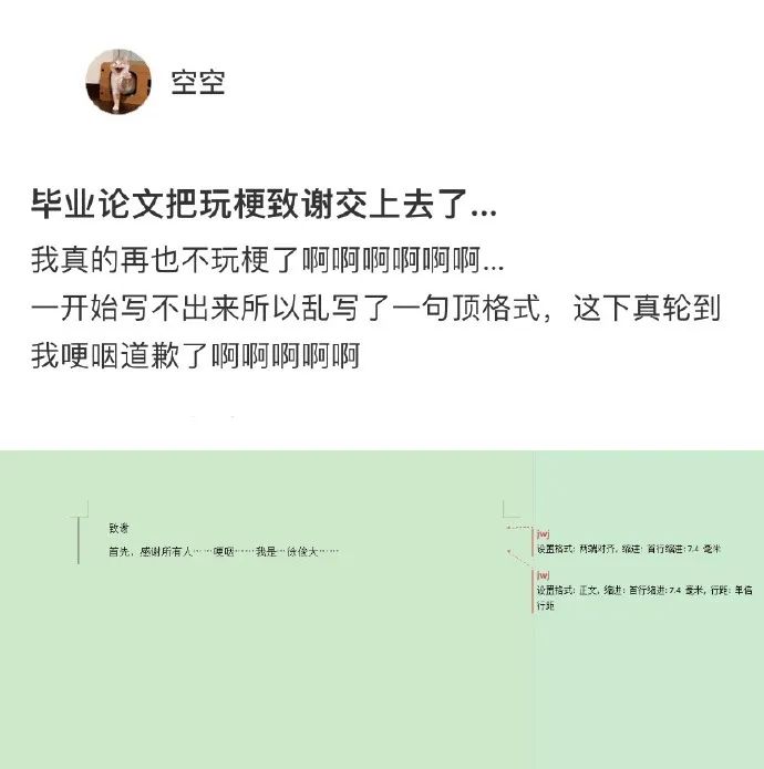 Word文档图片