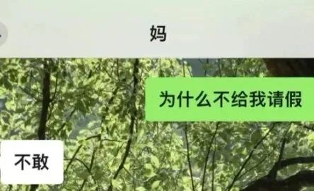 Word文档图片