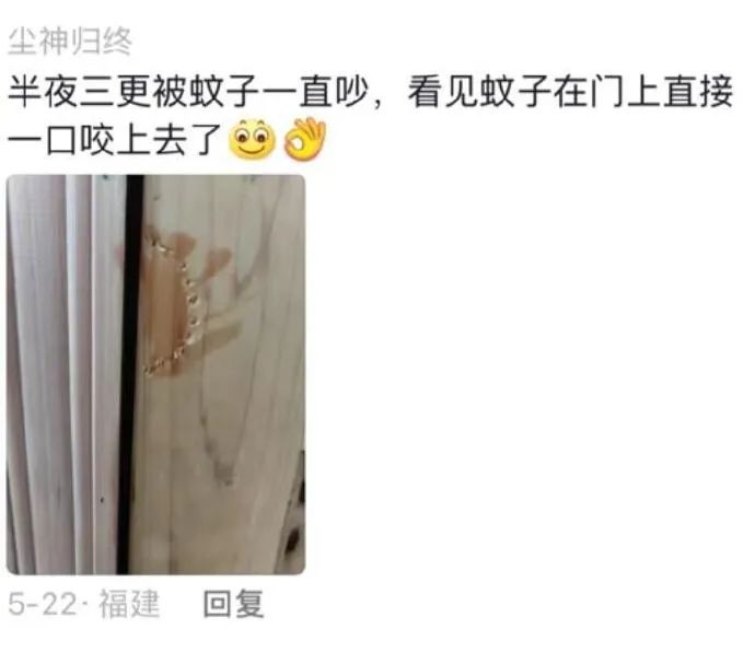 Word文档图片
