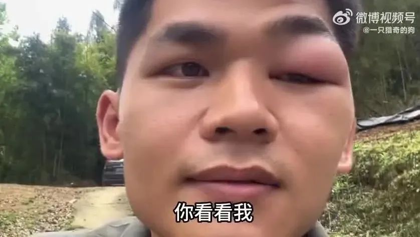 Word文档图片