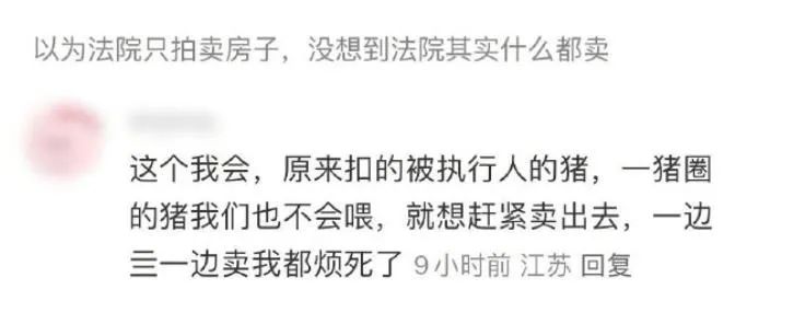 Word文档图片