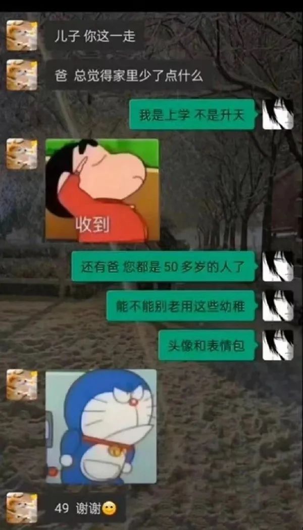 Word文档图片