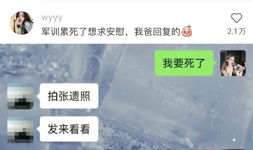 Word文档图片